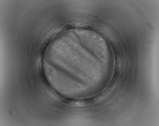 X0000113590506200910091502