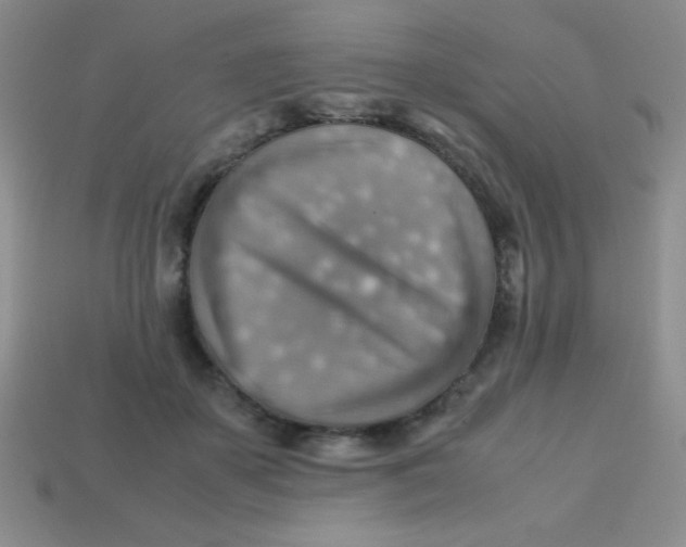 X0000113590507200910091502