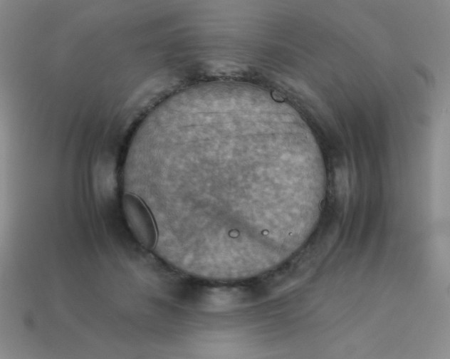 X0000113590508200910091502