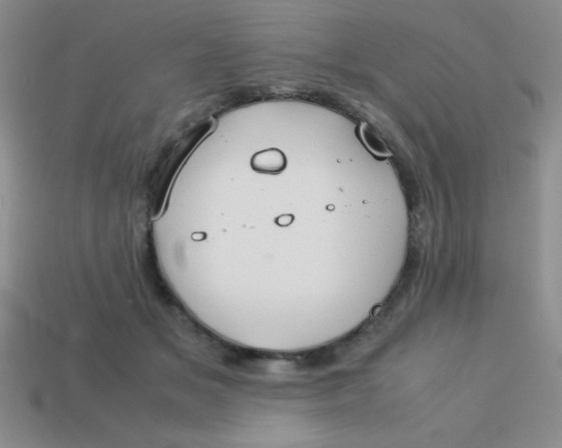 X0000113590509200910091502