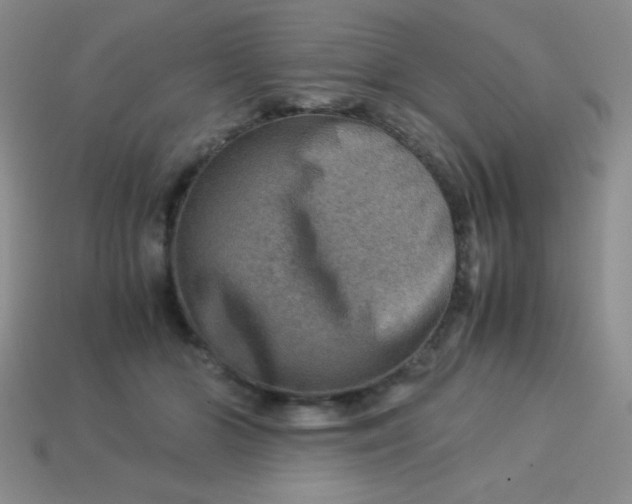 X0000113590510200910091502