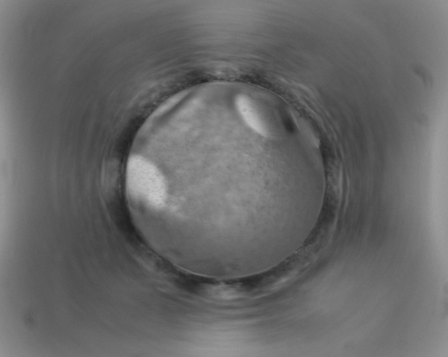 X0000113590511200910091502