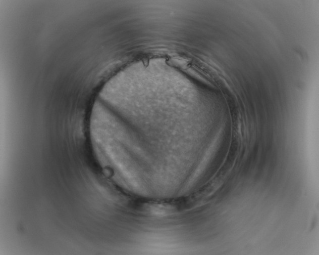 X0000113590512200910091502