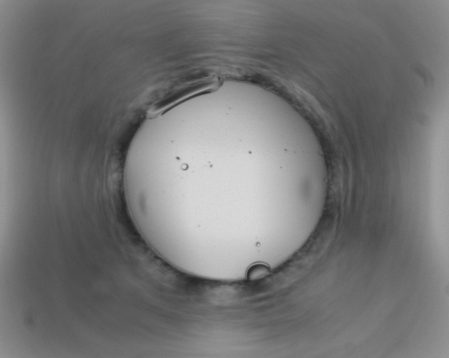 X0000113590513200910091502