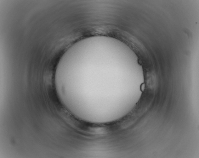 X0000113590514200910091502