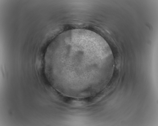 X0000113590515200910091502