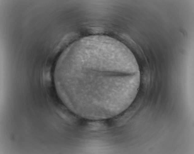 X0000113590516200910091502