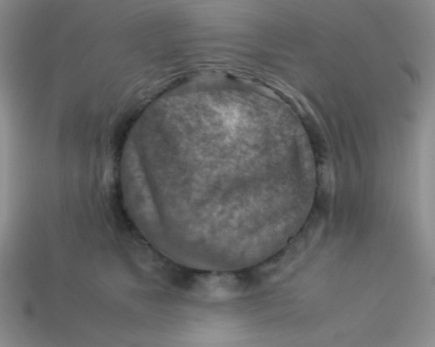 X0000113590517200910091502