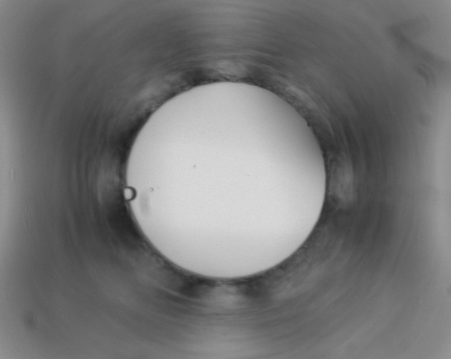 X0000113590518200910091502