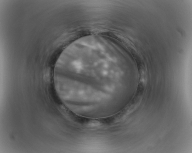 X0000113590519200910091502