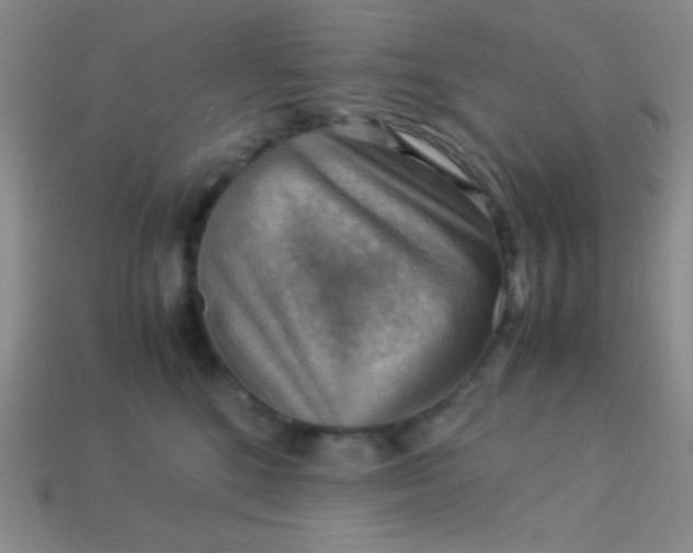 X0000113590520200910091502