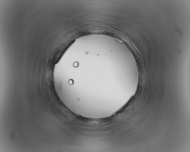 X0000113590521200910091502