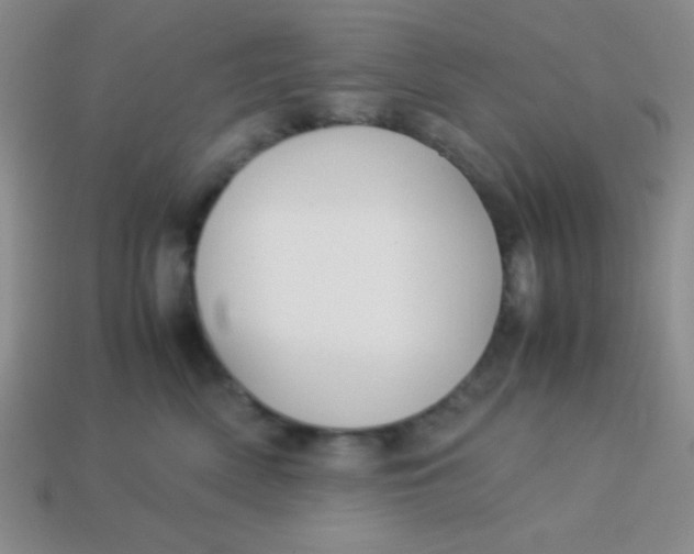 X0000113590522200910091502