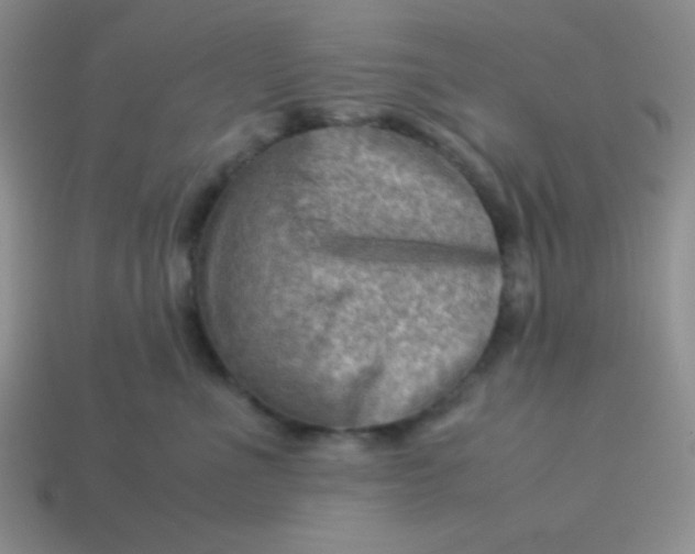 X0000113590523200910091502