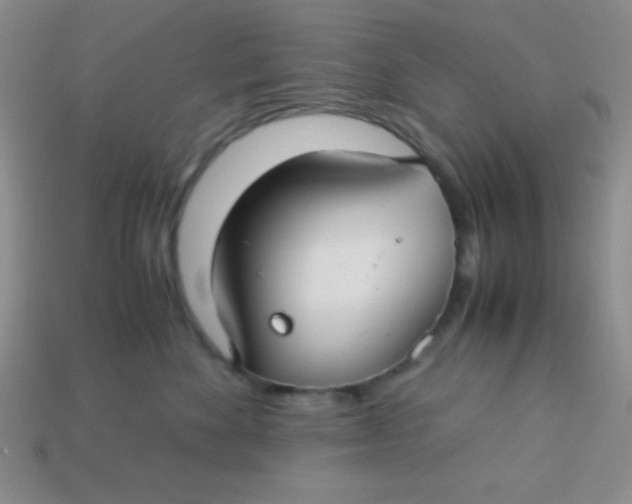 X0000113590524200910091502