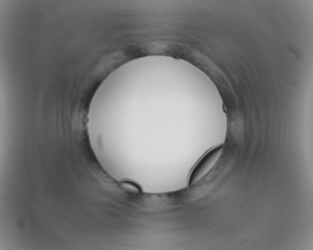 X0000113590525200910091502