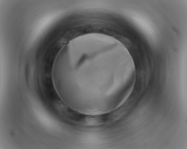 X0000113590526200910091502