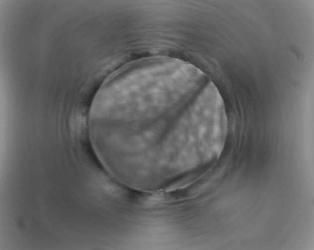 X0000113590527200910091502