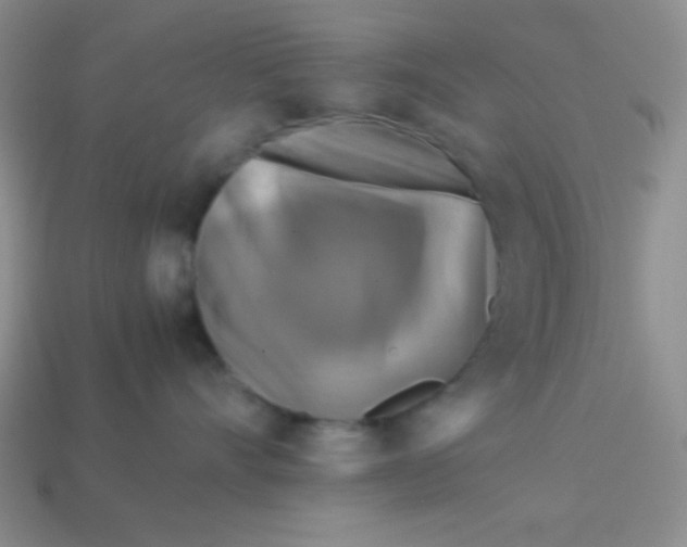 X0000113590528200910091502