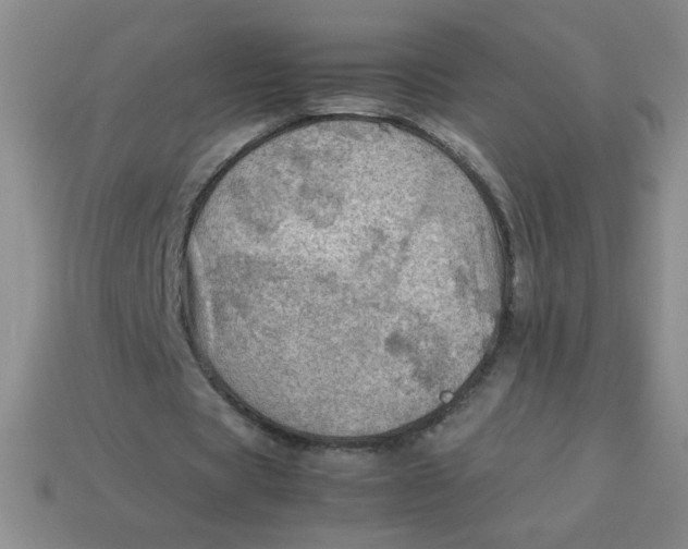 X0000113590529200910091501