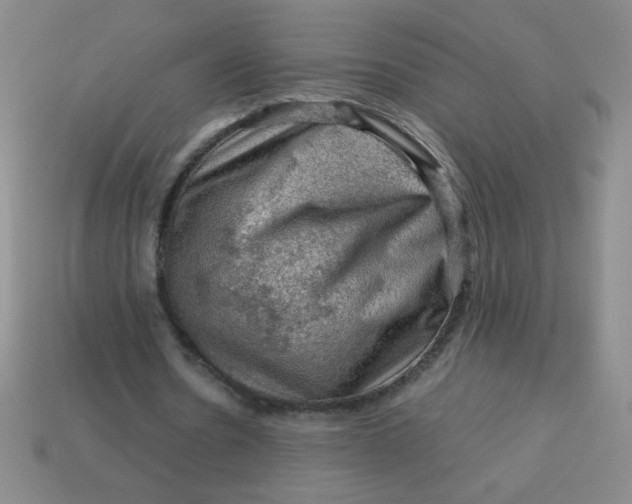 X0000113590530200910091501