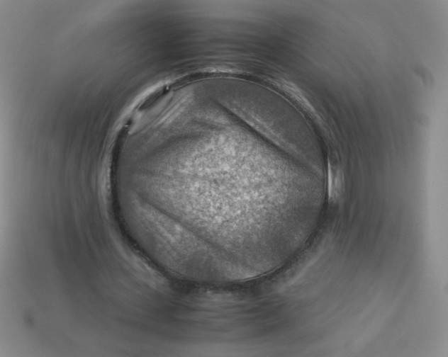 X0000113590531200910091501