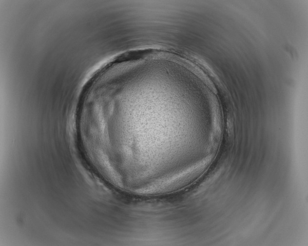 X0000113590532200910091501