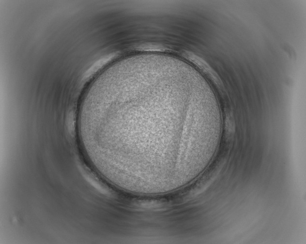 X0000113590533200910091501