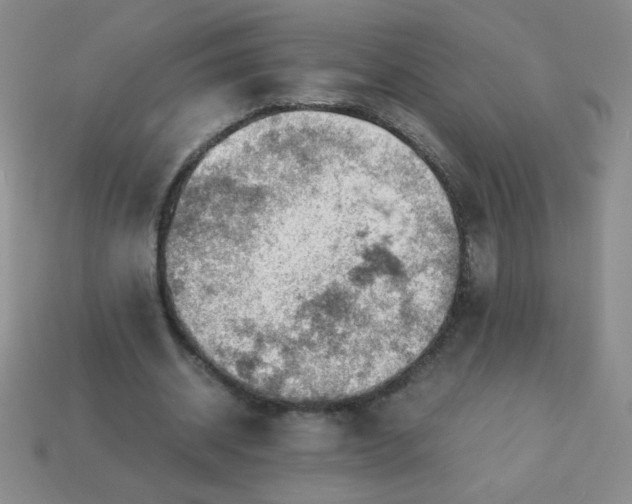 X0000113590534200910091501