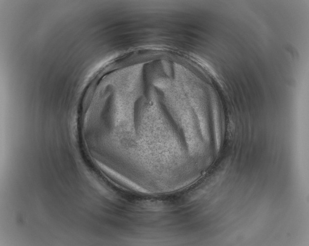 X0000113590535200910091501