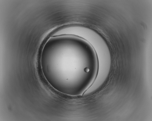 X0000113590536200910091501