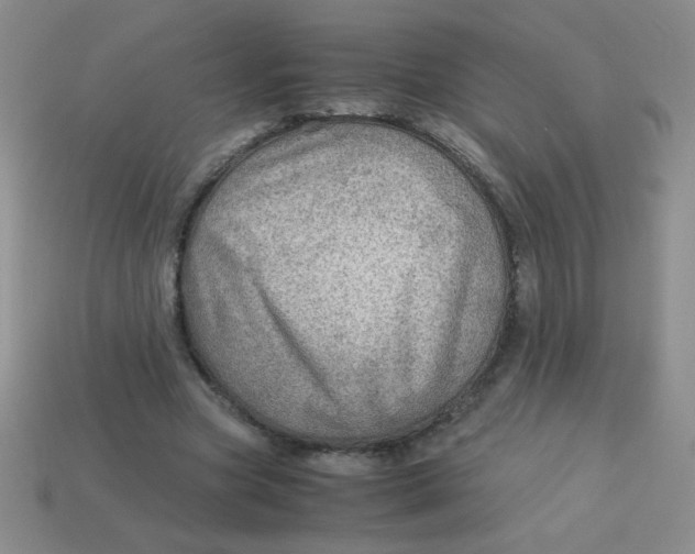 X0000113590537200910091501