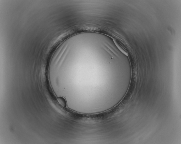 X0000113590538200910091501