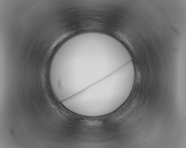 X0000113590539200910091501