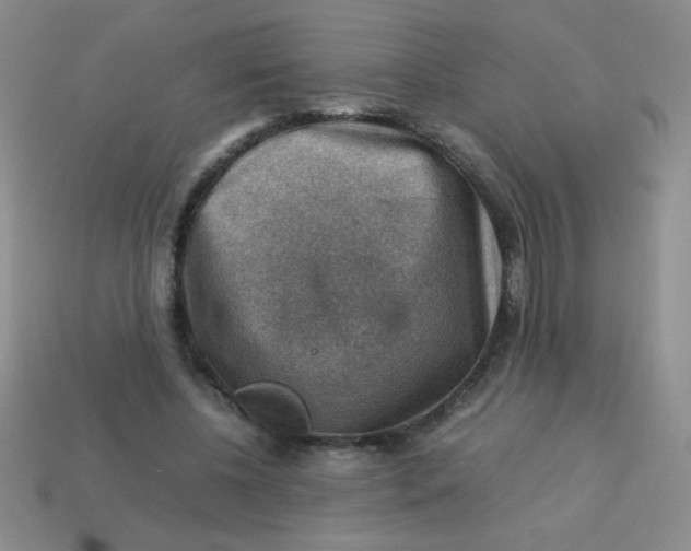 X0000113590540200910091501