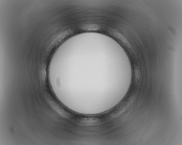 X0000113590541200910091501