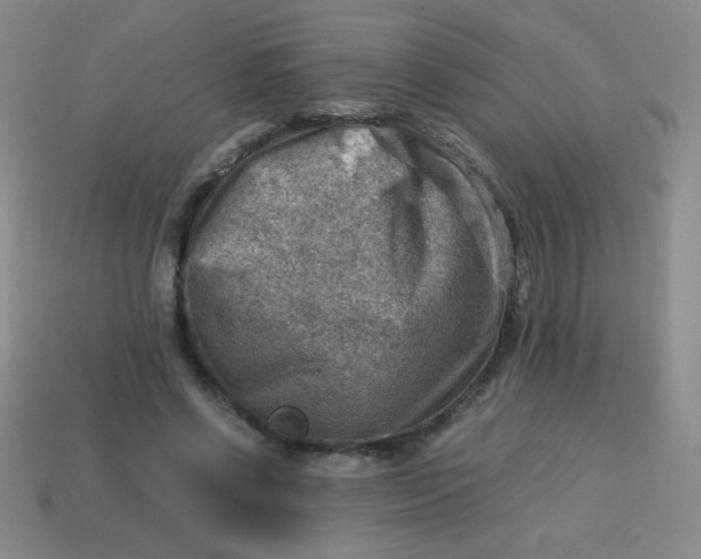 X0000113590542200910091501