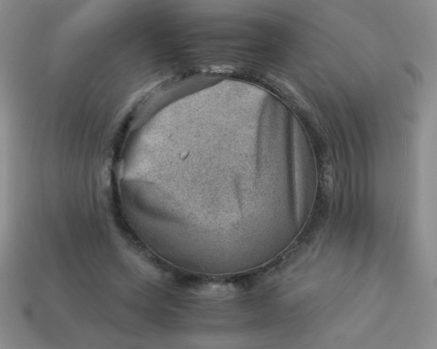 X0000113590543200910091501