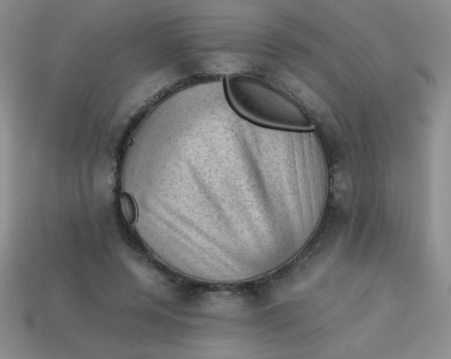 X0000113590544200910091501