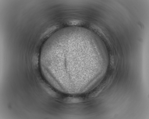 X0000113590545200910091501