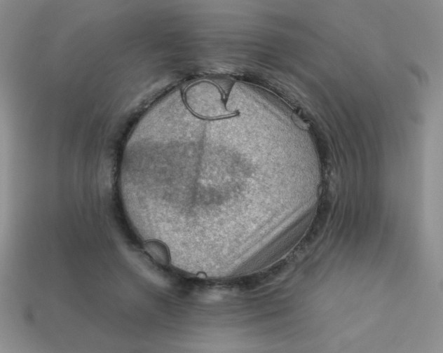 X0000113590546200910091501