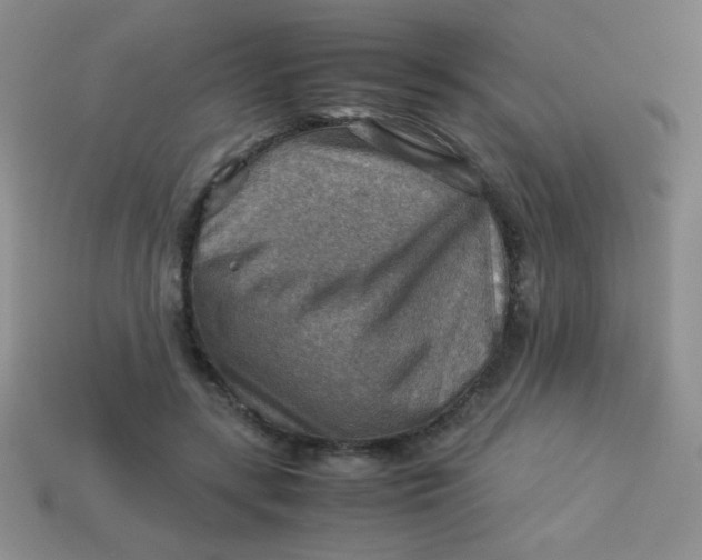 X0000113590547200910091501