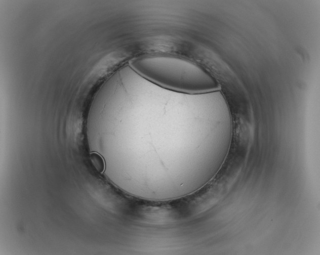 X0000113590548200910091501