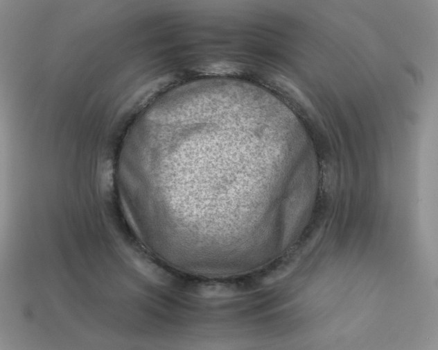 X0000113590549200910091501