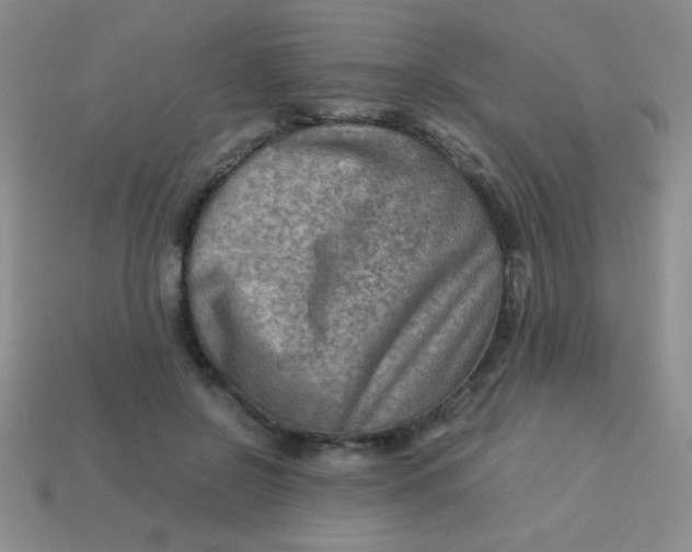 X0000113590550200910091501