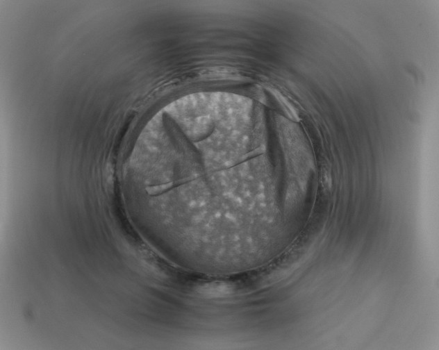 X0000113590551200910091501