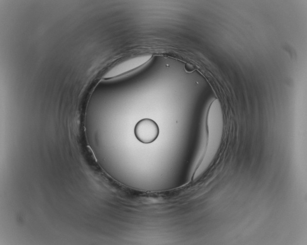 X0000113590552200910091502