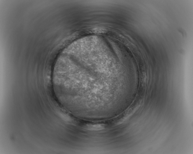 X0000113590553200910091502