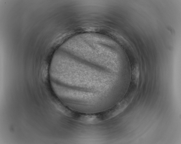 X0000113590554200910091502