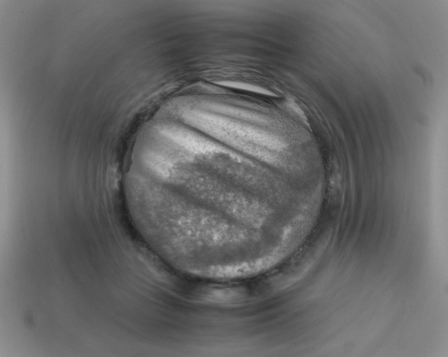 X0000113590555200910091502